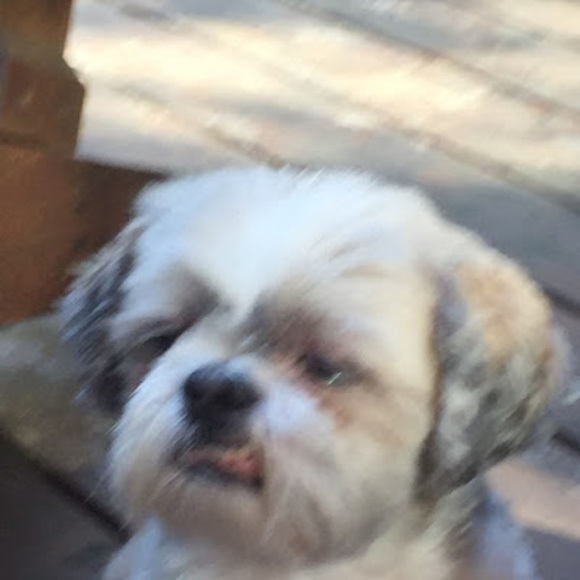 Meet your Posher, Luke - Picture 1 of 1